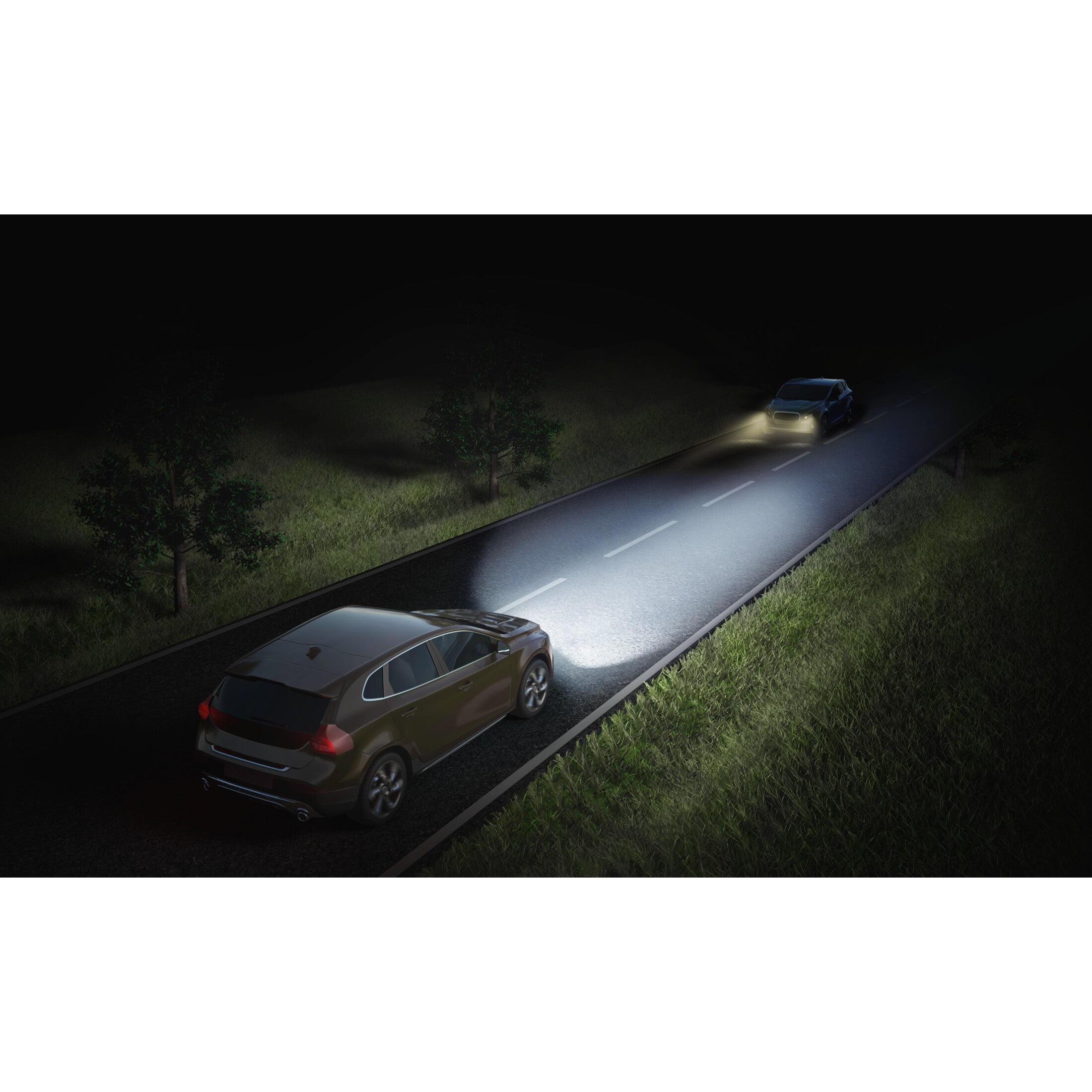 Xenon HID Bulbs