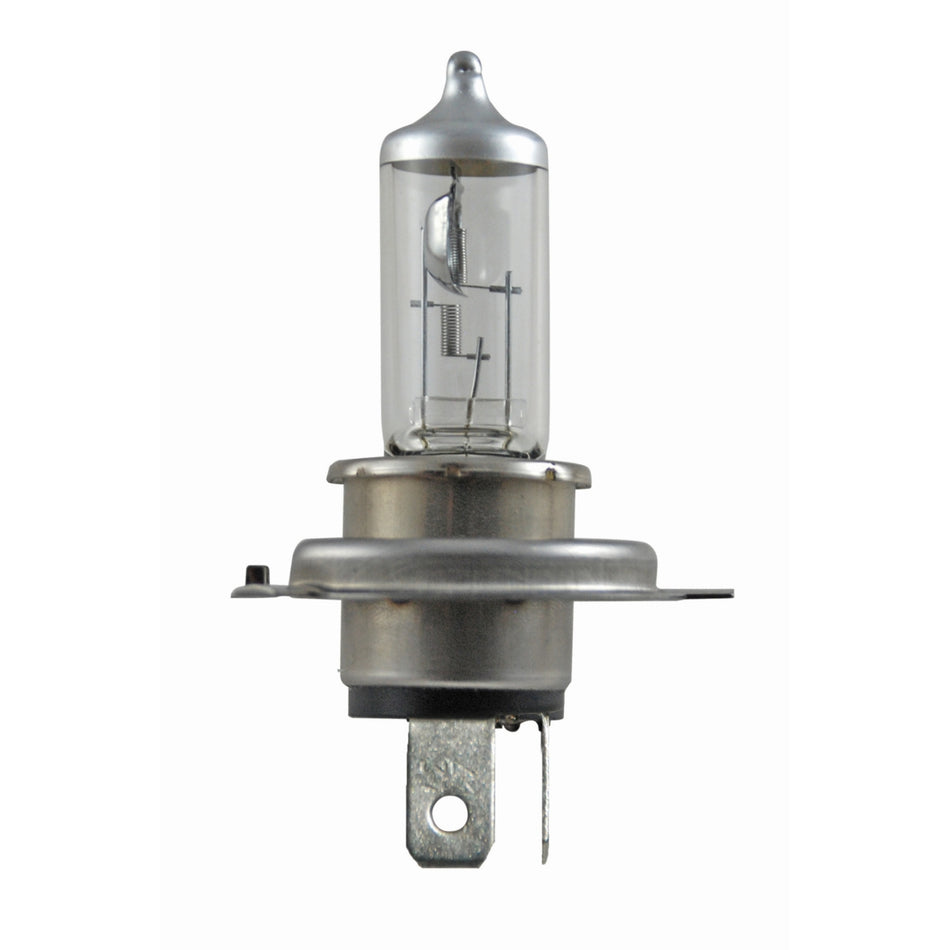 HELLA +50 Performance Bulbs