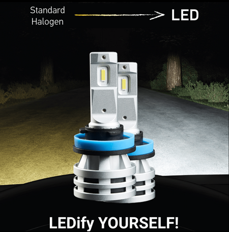Two silver HELLA LED retrofit fog light bulbs with blue bases, illuminating a dark road.